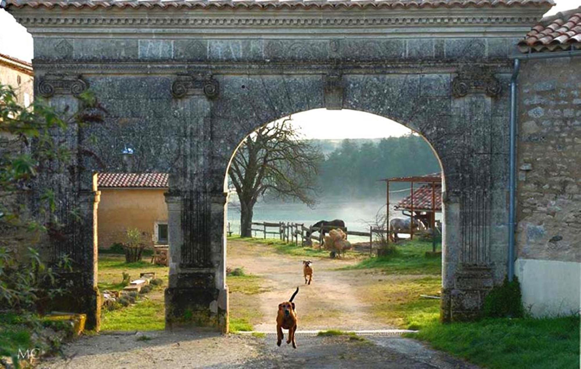 Domaine De Chantemerle B'Nb Marsac  Exterior foto